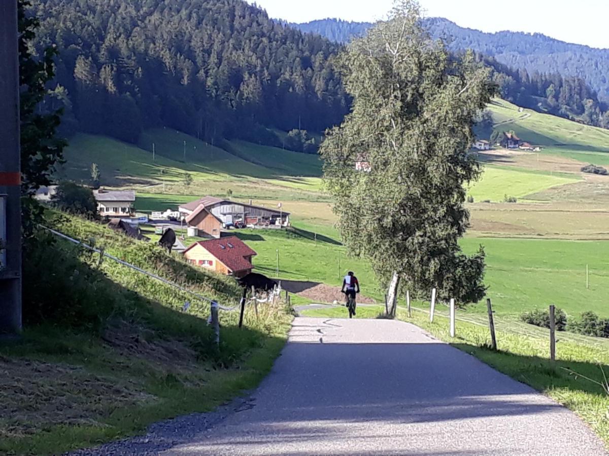 Gaestezimmer Im Dorfzentrum Rothenthurm Dış mekan fotoğraf